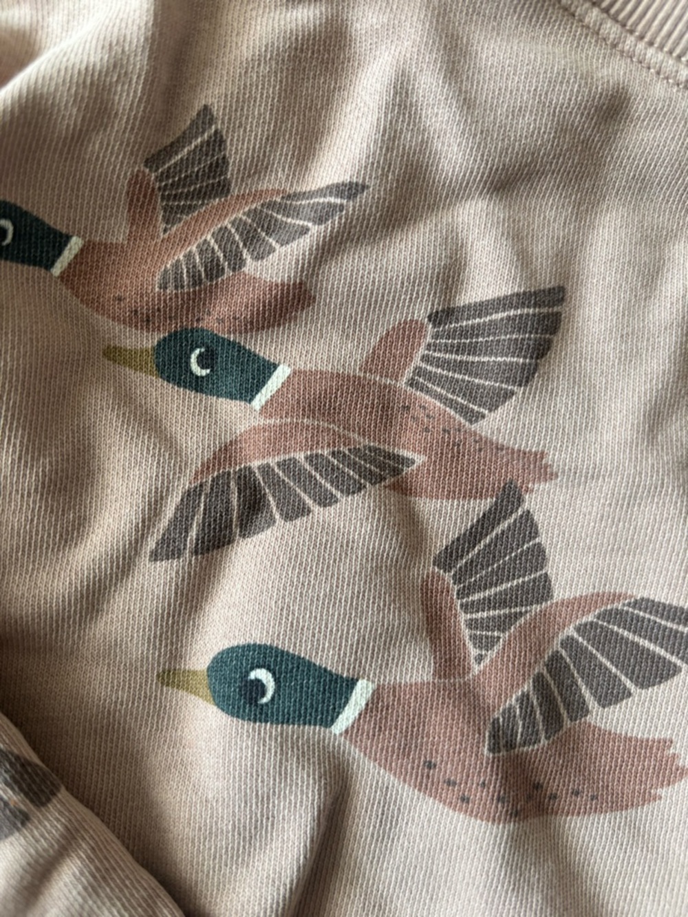 H&M Pink Crewneck with Flying Duck Motif